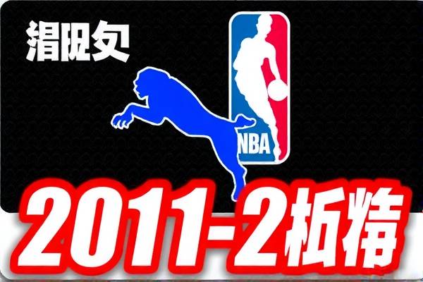 20112012nba总决赛录像,2011年nba总决赛全场回放